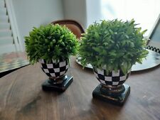 Pair of Urn Planters with Rosemary Plants 7