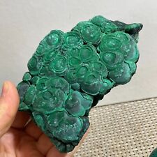800g Natural glossy Malachite transparent cluster rough mineral sample h7 picture