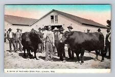 Lincoln NE-Nebraska, A Scene At Nebraska State Fair, Vintage c1910 Postcard picture