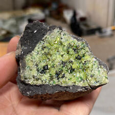 155g Sparkling Green Gemstone Peridot Olivine Crystal Basalt Mineral Specimen picture