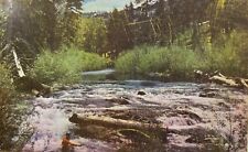 Fishermans Paradise Western Mountains Anglers Trout Salmon Steelhead Postcard  picture