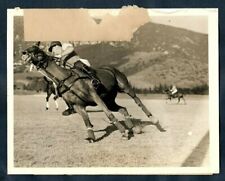 JOCKEY CONVERSE & HIS PONY BLACK FURY ACUTE ANGLE IN POLO CALIF 1939 Photo Y 235 picture