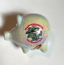 Massachusetts Souvenir Piggy Bank Ceramic Small Glazed Design picture