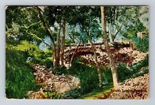 Pasadena CA-California, Wild Spot In Bush Gardens, Scenic, Vintage Postcard picture