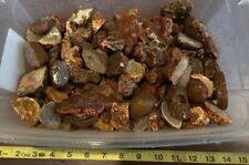 ROCK DADDY SPECIAL- 9 Pounds + of B Grade Cut Malawi Agate Nodules. picture