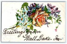 Wall Lake Iowa IA Postcard Greetings Embossed Rose Flower Leaves c1910's Vintage picture