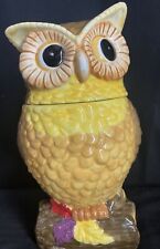 Owl Cookie Jar Davids Cookies Owl Canister Excellent picture