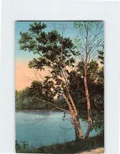 Postcard The Birches Twin Lakes Connecticut USA picture