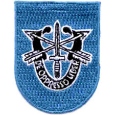 19th Special Forces Group Crest Flash   Patch picture