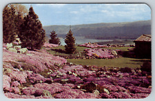 c1960s Ohme Gardens Overlooking Wenatchee Columbia River Vintage Postcard picture