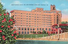 Lakeland Florida, New Florida Hotel on Lake Mirror, Vintage Postcard picture
