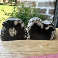Vintage Pair Texas Petrified Wood Stone Bookends Cut Polished Lpaidary Art 4