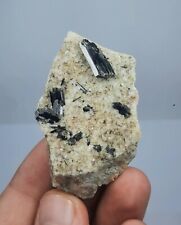 Aegirine Crystals With Albite On Matrix Granite From Zagi Mountains Pakistan. picture