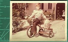 Vintage Photo Color Snapshot Cute Young Boy Giving His Dog A Ride picture