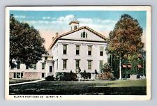 Le Roy NY-New York, Allen's Foot East Co, Antique, Souvenir, Vintage Postcard picture