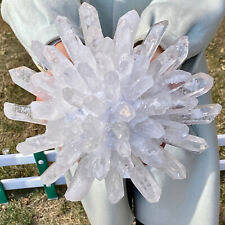 10.64LB Natural Clear Quartz Crystal Cluster Specimen Crystal Flowers Home Decor picture