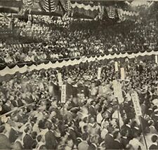 Senator Tillman Speech 1900 Print New Declaration History Struggle Antique DWD20 picture