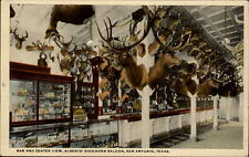San Antonio Texas Albert's Buckhorn Saloon Elk taxidermy unused c1915 postcard picture
