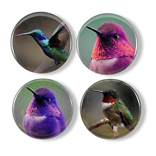 2.25 Inch Magnets Set of 4 Hummingbirds for Fridge, Kitchen, Whiteboard picture