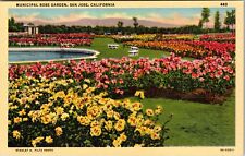 San Jose CA-California, Municipal Rose Garden, Vintage Postcard picture
