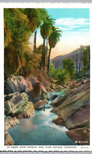 Palm Springs CA Postcard Upper Palm Canyon Palm Trees Stream Vintage California picture