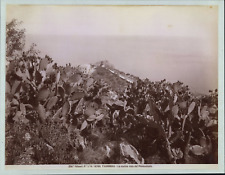 Italy, Sicily, Taormina, Coast View, ca.1880, Vintage Print Vintage Print picture