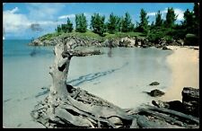 Postcard Chrome Secluded beach at Somerset Bermuda picture