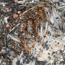 Vanadinite Crystal In Bladed Barite/Black Goethite - Rare Mix | See Description picture