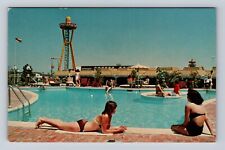 Dillon SC-South Carolina, South Of The Border Pedro's Pool, Vintage Postcard picture