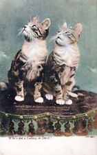 Two Cats Who's Dat A Calling So Sweet Postcard picture