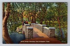 Bridgeport CT-Connecticut, Island Bridge, Beardsley Park, Vintage Postcard picture