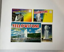 Yellowstone Park Vintage Haynes Souvenir Album, Postcard, & 2 Fold-out Postcards picture