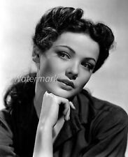 Broadway actress Gene Tierney American celebrity   5x7 PUBLICITY PHOTO picture
