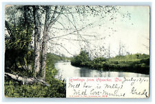 1907 Trees & River, Greetings from Okauchee Wisconsin WI Posted Antique Postcard picture