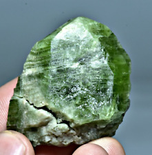 270 Ct Natural Terminated Huge Green Diopside Crystal @ Badakhshan Afghanistan picture