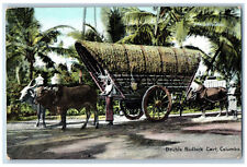 Colombo Sri Lanka Postcard Double Bullock Cart Carriage c1910 Unposted Antique picture