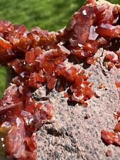 Large Raw Red Vanadinite- Natural 3.5” Morocco Vibrant Red Vanadinite In Matrix picture