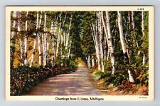 L'Anse MI-Michigan, Scenic Greetings, Antique Souvenir Vintage Postcard picture