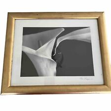 Tom Ferguson Two Lilies Flowers Botanical Silver Gelatin Photograph Signed picture