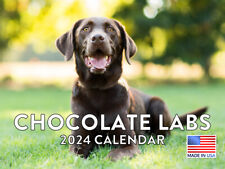 Chocolate Lab Dog 2024 Wall Calendar picture