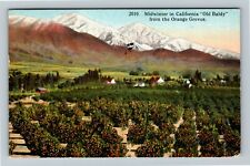 Midwinter CA-California, Aerial View Orange Groves, c1917 Vintage Postcard picture