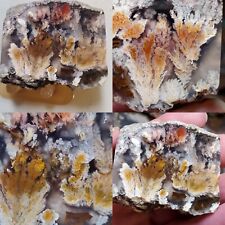 Bouquet Plume Agate 159g San Carlos Canyon Ojo Laguna Mexico Lapidary Museum  picture