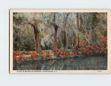 Postcard Scene in Magnolia gardens Charleston South Carolina USA picture