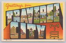 Traverse City Michigan, Large Letter Greetings, Vintage Postcard picture