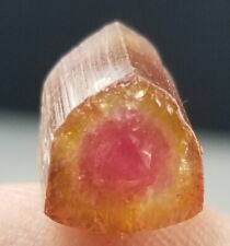 6.60 ct Natural Bi Color TOURMALINE Crystal From Afghanistan  picture