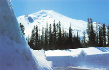 Mt. St. Helens North face of Volcano Kelso Washington picture