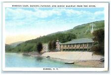 c1920s Rorick's Glen Dancing Pavilion And Railway Elmira NY Unposted Postcard picture