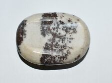 Dendritic Crystall Palm Worry Stone North Carolina New River Fossil Specimen picture