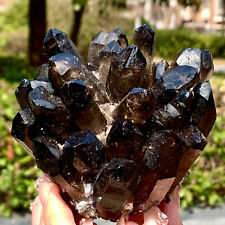 1.22LB New Find Black Phantom Quartz Crystal Cluster Mineral Specimen Healing picture