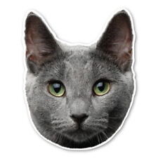 Russian Blue Cat Magnet picture